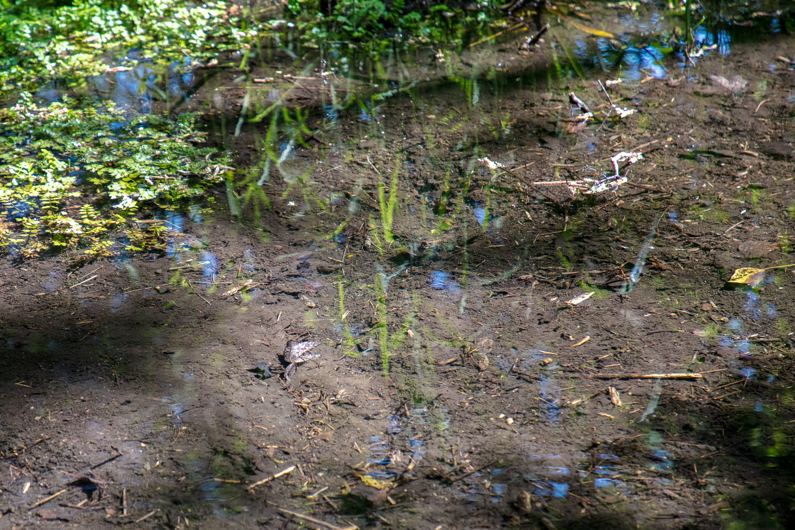 20220508124217 DP017524